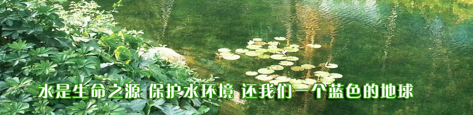 鑫龍水環境治理有限公司